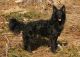 Igazi, S 60389/2007