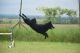 Bariguard Jump into the Happiness 'Töpi'
