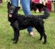 Bestagility Aspen Bestagility Aspen