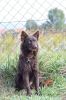 Bestagility Diny Bestagility Diny