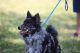 Twisted Acres U Put A Spell On Me, DN50797405 Twisted Acres U Put A Spell On Me, DN50797405